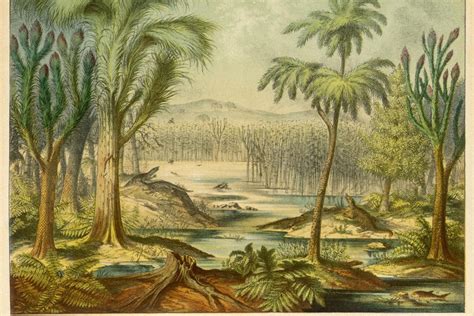 carboniferous mississippian animals